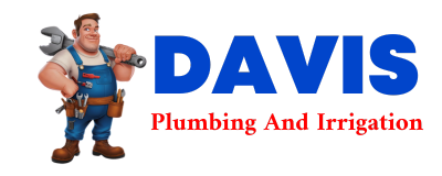 Trusted plumber in DAISY